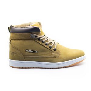 Cat 012 Ocre